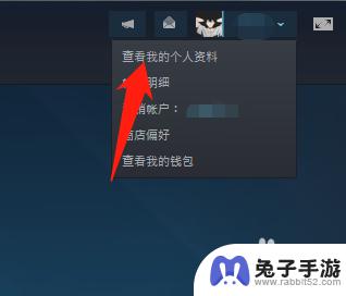 steam好友能看见你在玩什么