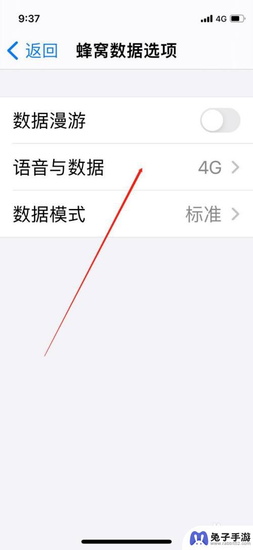 苹果手机怎么开5g网络