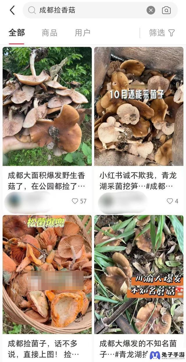 市民在野外发现香菇？专家提醒暂不清楚种类，不建议食用需检测