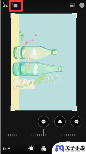 苹果手机图怎么镜像翻转