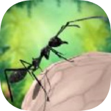蚂蚁生存3D手机最新版