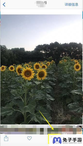 苹果手机怎么在照片上加字